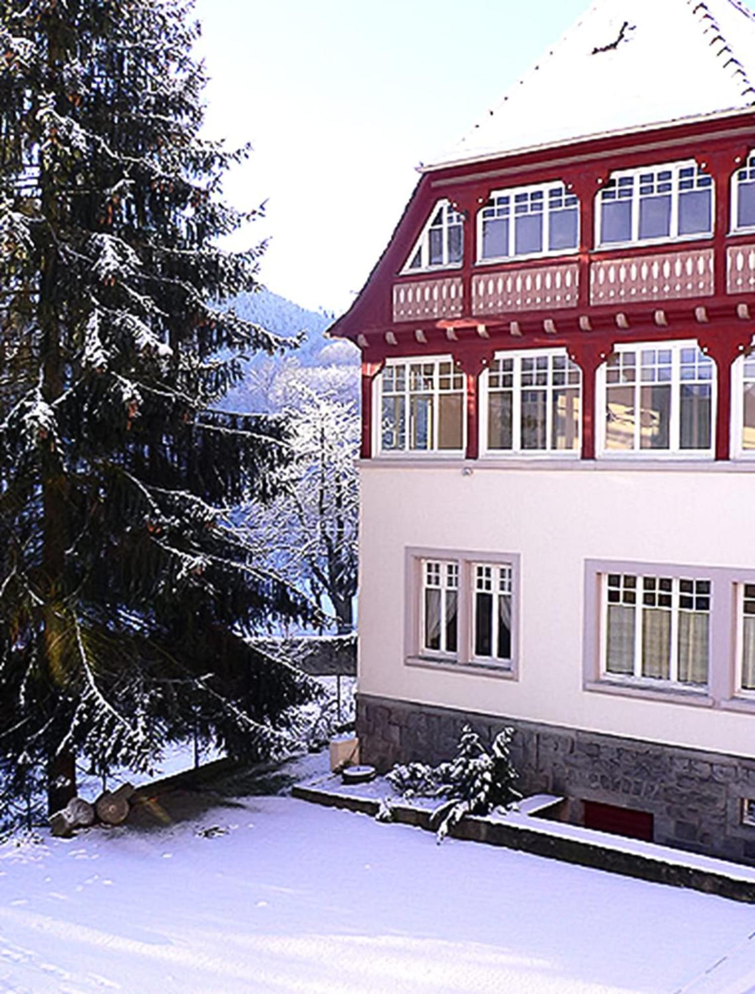 Villa Du Sendenbach Muhlbach-sur-Munster Esterno foto